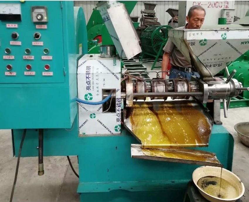 screw squeezed oil press (2)