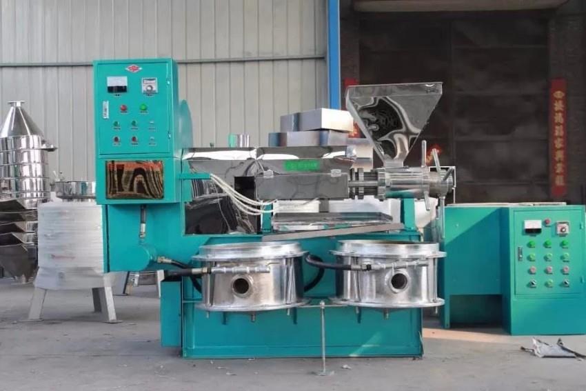 screw squeezed oil press (1)