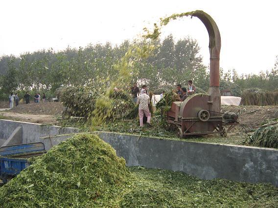 chaff cutter (35)